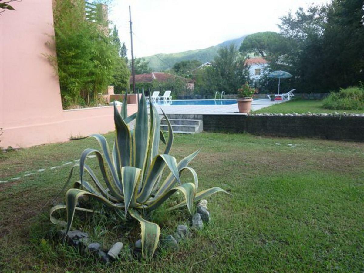 Stathis Apartments Δασιά Εξωτερικό φωτογραφία